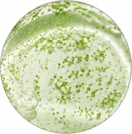 Green Microalgae