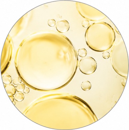 Omega Fatty Acid Blend